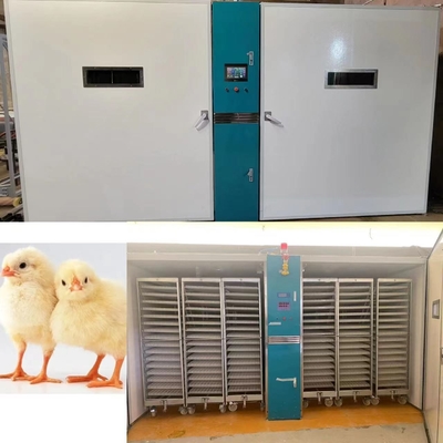 खरीदें ±3% आरएच की आर्द्रता सटीकता के साथ 220V/50Hz चिकन हैचिंग मशीन online manufacture