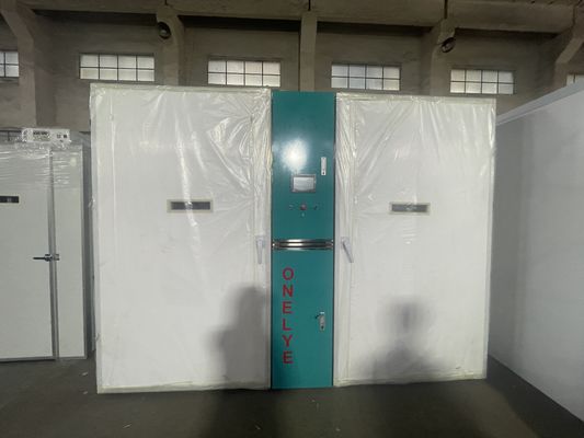 खरीदें 50 किलोग्राम क्षमता वाला एकल चरण इनक्यूबेटर 1000 वाट की शक्ति और स्टेनलेस स्टील सामग्री के साथ online manufacture