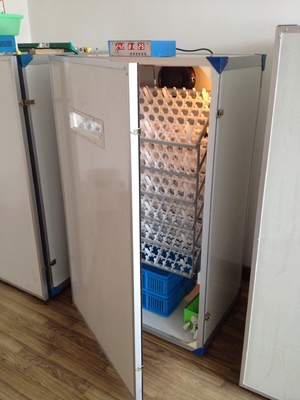 खरीदें स्वचालित पोल्ट्री अंडे इनक्यूबेटर हैचिंग मशीन 600 अंडे इनक्यूबेटर online manufacture