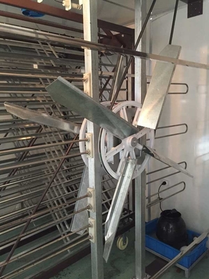 खरीदें मल्टी सिंगल स्टेज इन्क्यूबेटर और ब्रूडर कैबिनेट अंडे इनक्यूबेटर 3000 अंडे की क्षमता online manufacture