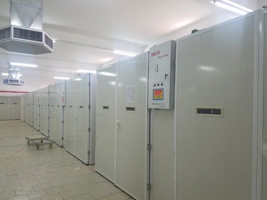 खरीदें 20000 इनक्यूबेटर चिकन अंडा हैचिंग मशीन online manufacture