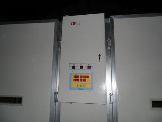 खरीदें एस पी सिंगल स्टेज इन्क्यूबेटर बर्ड एग्स के लिए 10000 कैपेसिटी एग इंक्यूबेटर online manufacture