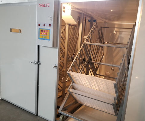 खरीदें बड़ी क्षमता वाणिज्यिक अंडे इनक्यूबेटर 10000 अंडे तीतर तोता अंडा हैचिंग online manufacture