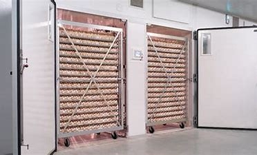 खरीदें बुद्धिमान 31824 अंडे बटेर अंडे टर्नर के साथ एकल चरण इनक्यूबेटर online manufacture