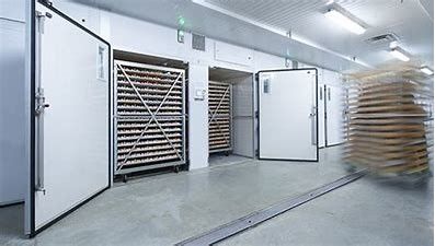 खरीदें 6 ट्रॉली एयर कूलिंग सिंगल स्टेज इनक्यूबेटर पूरी तरह से स्वचालित इंटेलिजेंट online manufacture