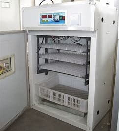 खरीदें 200PCS जंबो पोल्ट्री एग इनक्यूबेटर एक्सट्रूडेड सेक्शन online manufacture