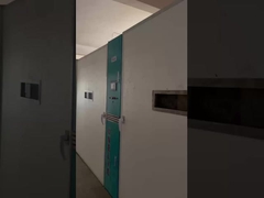 प्रजनन के तीन चरण क्या हैं?